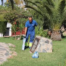 DETECCIONES DE FUGAS DE AGUA CON GEOFONO GENERALES PARA BARRANCO 923234029 